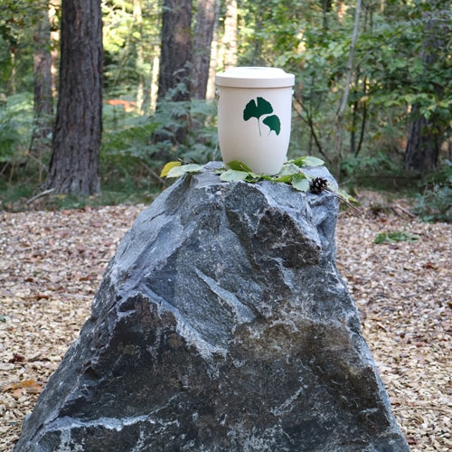 FriedWald Planitzwald Möller Bestattungsdienst